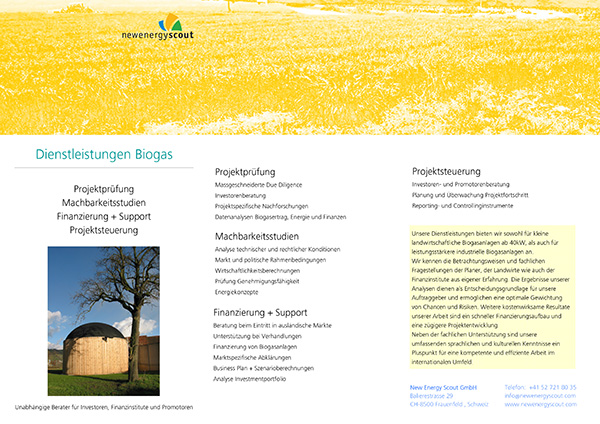 Redesign New Energy Scout - Flyer vorher Biogas