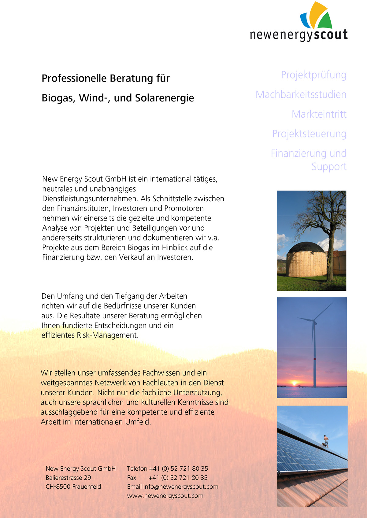 Redesign New Energy Scout - Flyer vorher allgemein
