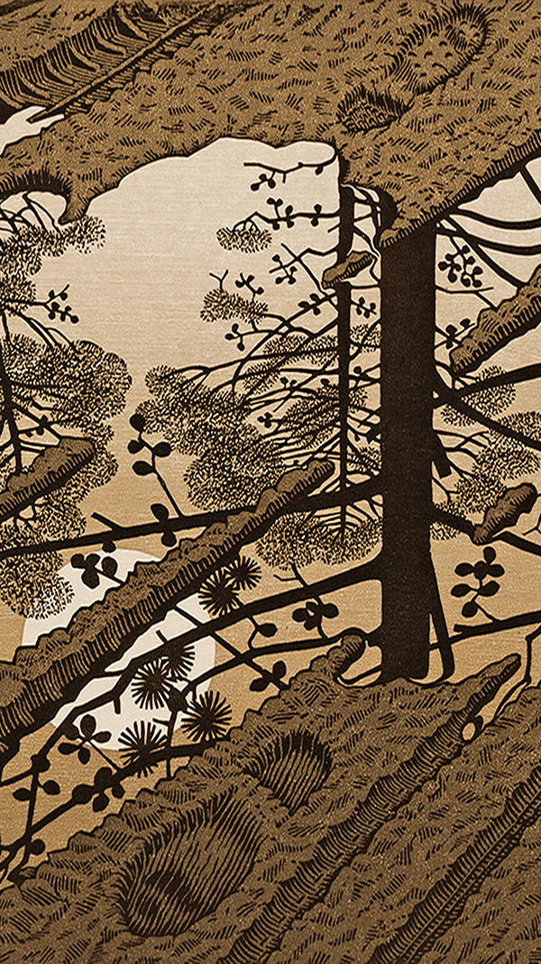 Grafik von M.C. Escher - Stiefelabdrücke in matschigem Boden und Mond-Spiegelung in einer Pfütze